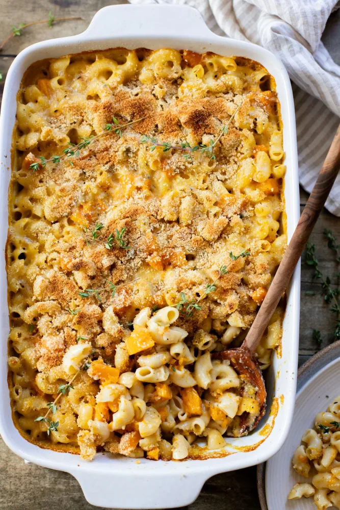 Butternut Squash Cheese Sauce Pasta